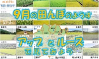 ９月の田んぼ（PDF)