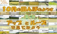 １０月の田んぼ（PDF)