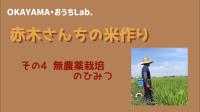 赤木さんちの米作りその４「無農薬栽培のひみつ」