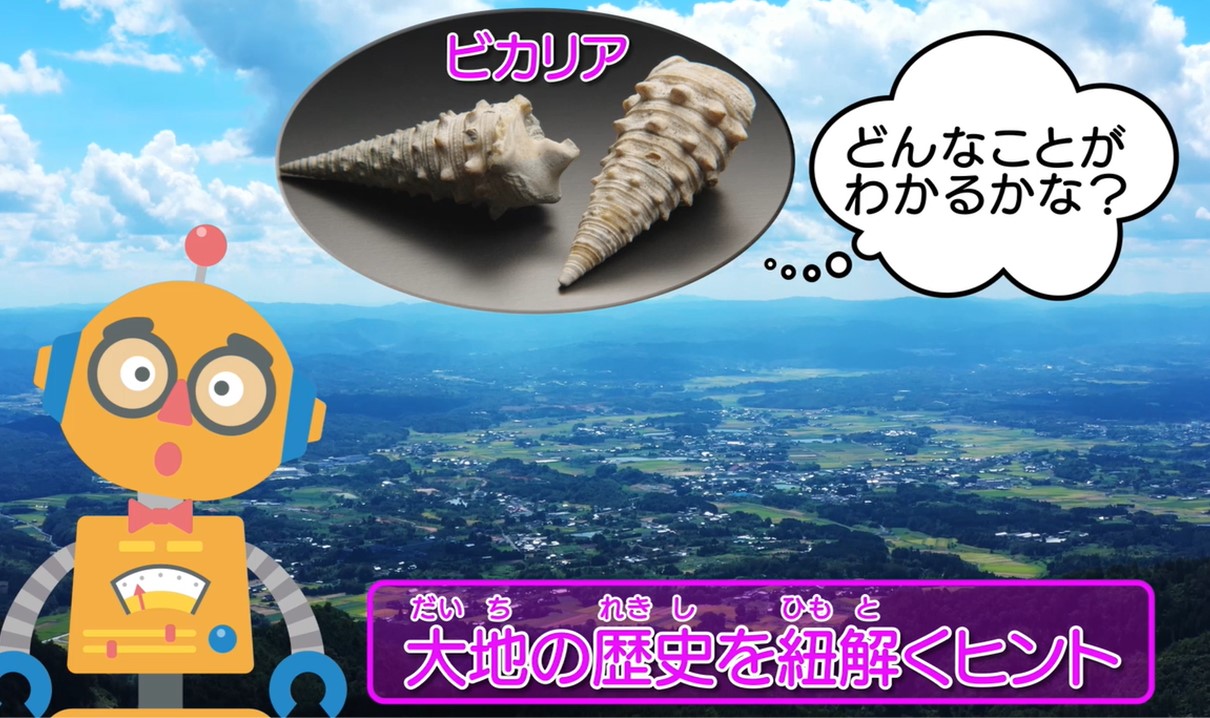 岡山県の優れた示準化石