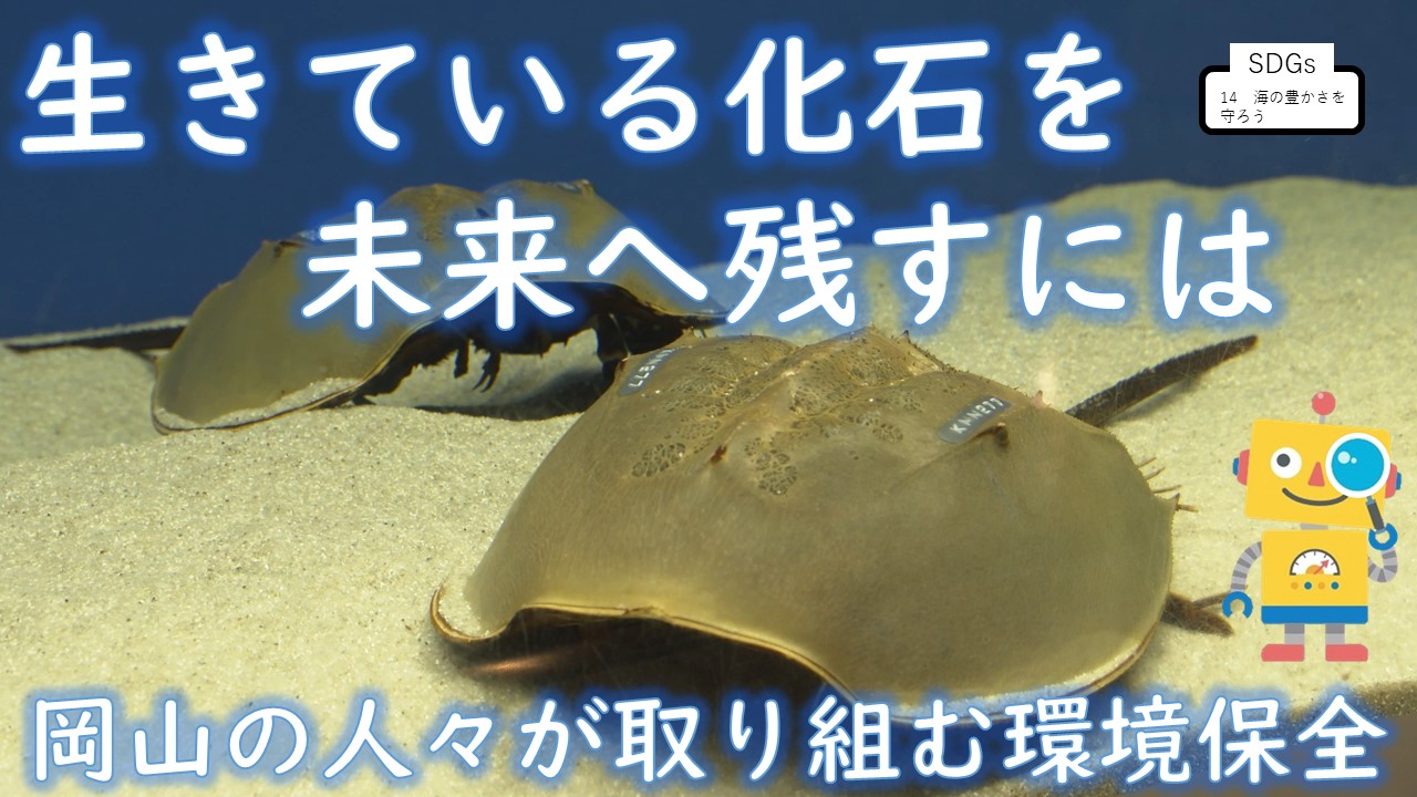 生きている化石を未来へ残すには～岡山の人々が取り組む環境保全～