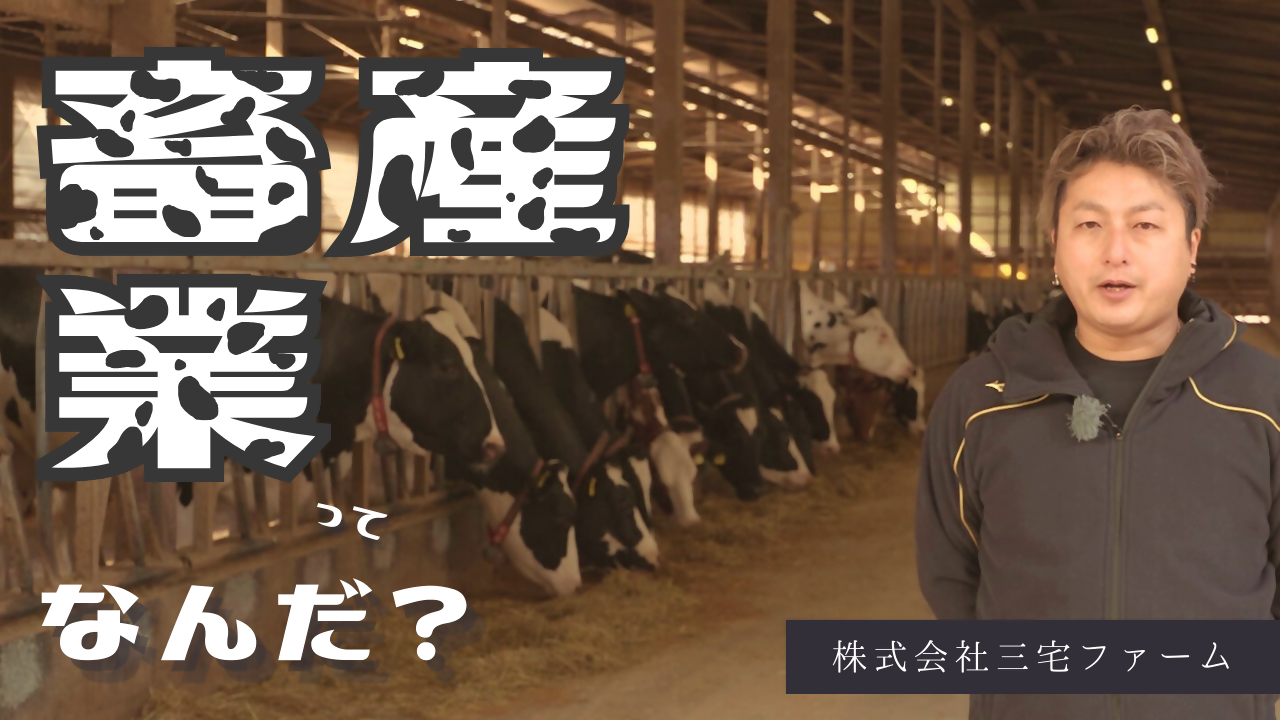 畜産業ってなんだ？　株式会社三宅ファーム